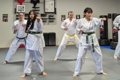 ATA-Blackbelt-adults-3